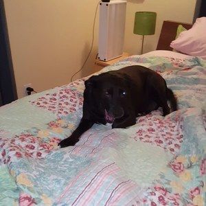 Meet your Posher, Daniela